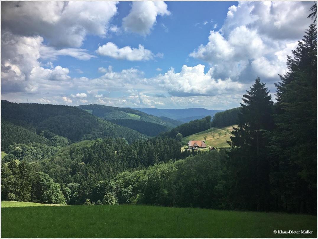 トリベルク Haus Am Waldrandヴィラ エクステリア 写真