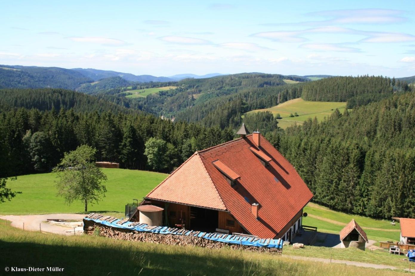 トリベルク Haus Am Waldrandヴィラ エクステリア 写真