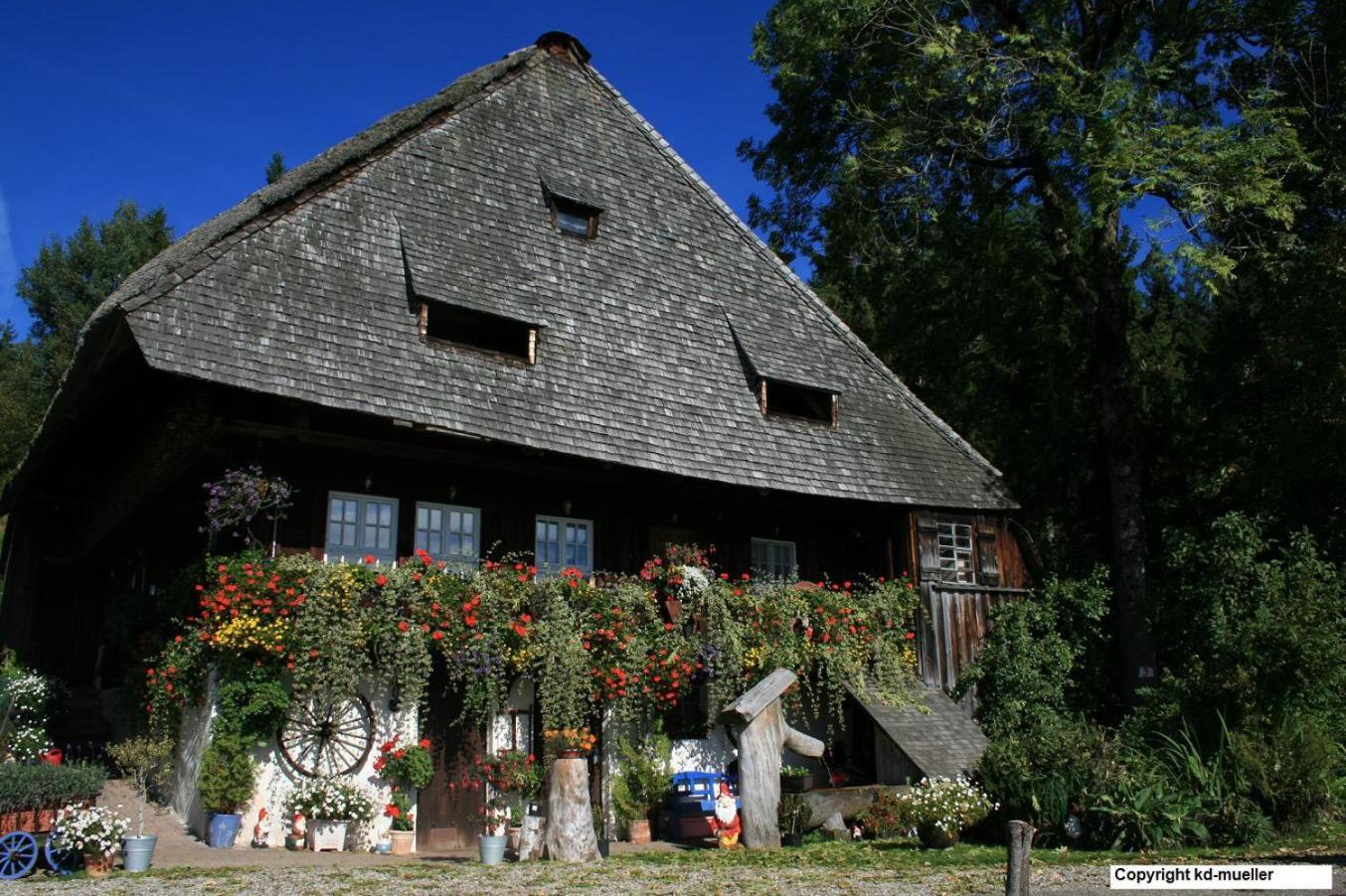 トリベルク Haus Am Waldrandヴィラ エクステリア 写真